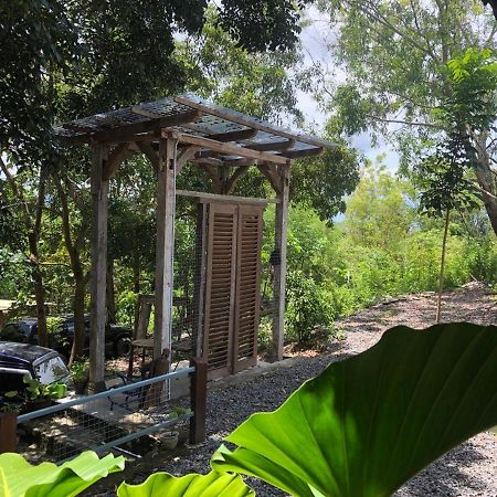 Omah Cantrik, Ethnic Java House With Nature View Jarakan Extérieur photo